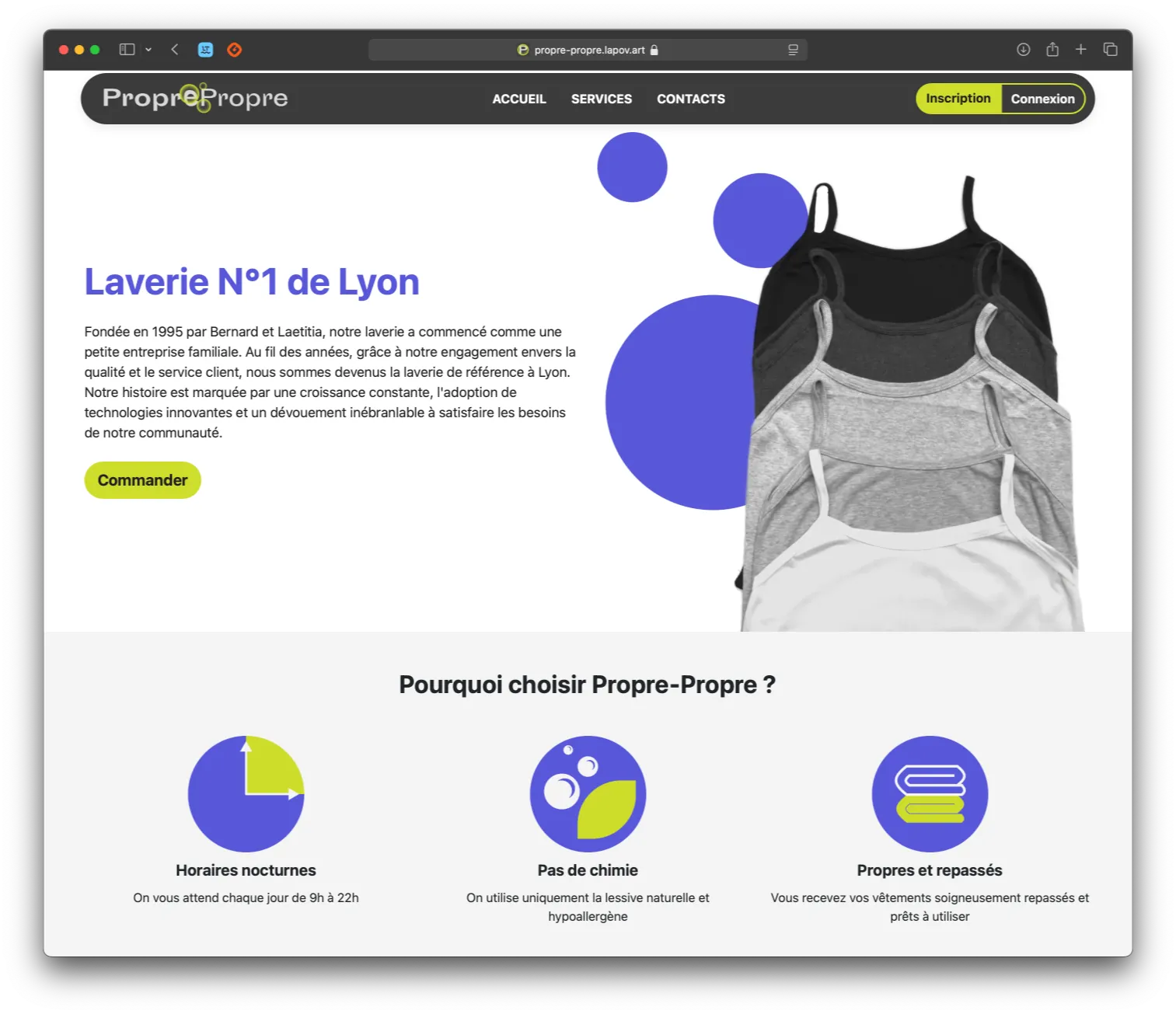 Capture d'écran de la page d'accueil du site web du pressing propre-propre